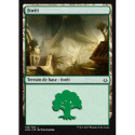 (Foil) Terrain - Forêt (V2) (L) [HOU]
