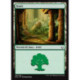 (Foil) Terrain - Forêt (V3) (L) [HOU]