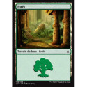 (Foil) Terrain - Forêt (V3) (L) [HOU]