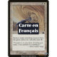 (Foil) Blanche - Accise (C) [PR]