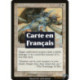 (Foil) Blanche - Coup-miroir (U) [PR]