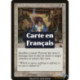 (Foil) Blanche - Guerisseur inquiet (C) [PR]