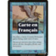 (Foil) Bleue - Grifargne côtier (C) [PR]