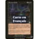 (Foil) Noire - Champ délétère (U) [PR]