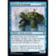 (Foil) Bleue - Tortue de Brumegué (C) [ELD]