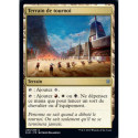 (Foil) Terrain - Terrain de tournoi (U) [ELD]
