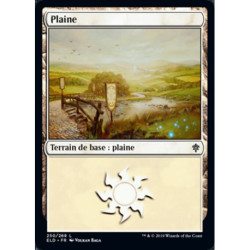 (Foil) Terrain - Plaine (V1) (L) [ELD]