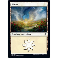 (Foil) Terrain - Plaine (V4) (L) [ELD]