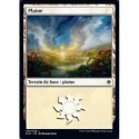 (Foil) Terrain - Plaine (V4) (L) [ELD]