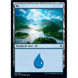 (Foil) Terrain - Île (V1) (L) [ELD]