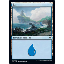 (Foil) Terrain - Île (V2) (L) [ELD]
