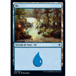 (Foil) Terrain - Île (V3) (L) [ELD]