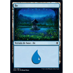 (Foil) Terrain - Île (V4) (L) [ELD]