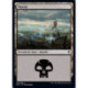 (Foil) Terrain - Marais (V2) (L) [ELD]