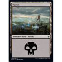 (Foil) Terrain - Marais (V2) (L) [ELD]