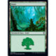 (Foil) Terrain - Forêt (V1) (L) [ELD]