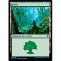 (Foil) Terrain - Forêt (V1) (L) [ELD]