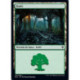 (Foil) Terrain - Forêt (V2) (L) [ELD]