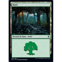 (Foil) Terrain - Forêt (V2) (L) [ELD]
