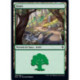 (Foil) Terrain - Forêt (V3) (L) [ELD]