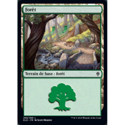 (Foil) Terrain - Forêt (V3) (L) [ELD]
