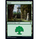 (Foil) Terrain - Forêt (V4) (L) [ELD]