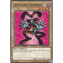 Lapin des Ténèbres (C) [DEM6]
