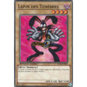Lapin des Ténèbres (C) [DEM6]