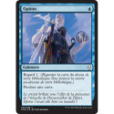 (Foil) Bleue - Option (C) [DOM]