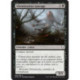 (Foil) Noire - Abomination sauvage (C) [DOM]