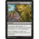 (Foil) Noire - Infection fongoïde (C) [DOM]
