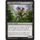 (Foil) Noire - Thallidé omnivore (C) [DOM]