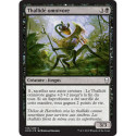 (Foil) Noire - Thallidé omnivore (C) [DOM]