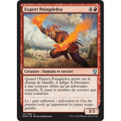 (Foil) Rouge - Expert Poingdefeu (U) [DOM]