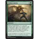 (Foil) Verte - Animus ancien (C) [DOM]