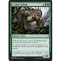 (Foil) Verte - Avaleur baloth (C) [DOM]