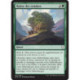 (Foil) Verte - Naître des cendres (C) [DOM]