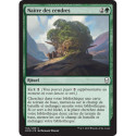 (Foil) Verte - Naître des cendres (C) [DOM]