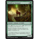 (Foil) Verte - Druidesse krosiane (C) [DOM]