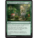 (Foil) Verte - Migration de saprobiontes (C) [DOM]
