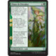 (Foil) Verte - Chant de Freyalise (U) [DOM]