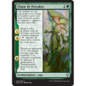(Foil) Verte - Chant de Freyalise (U) [DOM]
