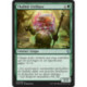 (Foil) Verte - Thallidé fritillaire (U) [DOM]