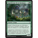 (Foil) Verte - Saproberger de la Yavimaya (C) [DOM]