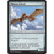 (Foil) Incolore - Planeur d'aeszir (C) [DOM]