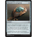 (Foil) Incolore - Boussole de navigateur (C) [DOM]