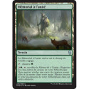 (Foil) Terrain - Mémorial à l'unité (U) [DOM]
