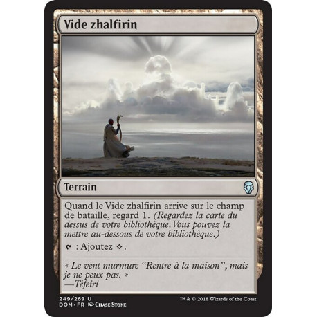 (Foil) Terrain - Vide zhalfirin (U) [DOM]