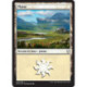 (Foil) Terrain - Plaine (V1) (L) [DOM]