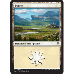 (Foil) Terrain - Plaine (V1) (L) [DOM]